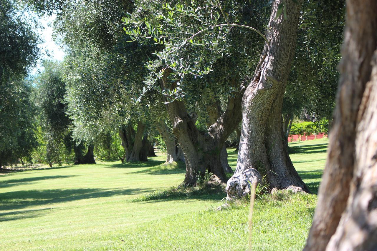 Villaggio Uliveto Rodi Garganico Kültér fotó